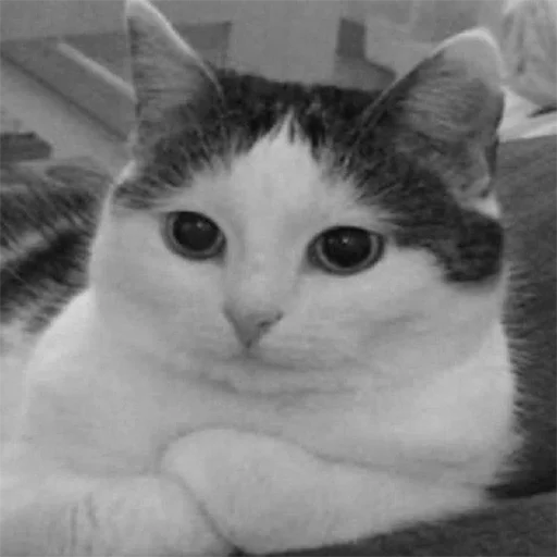 Стикер бухтелка - 11