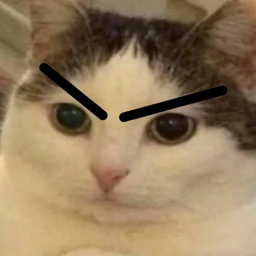 Стикер бухтелка - 7