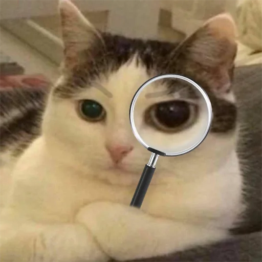 Стикер бухтелка - 6