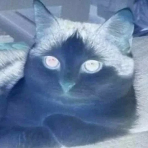 Стикер бухтелка - 5