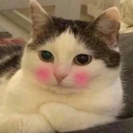 Стикер бухтелка - 4