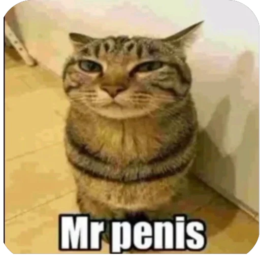 Sticker bulling82 - 1