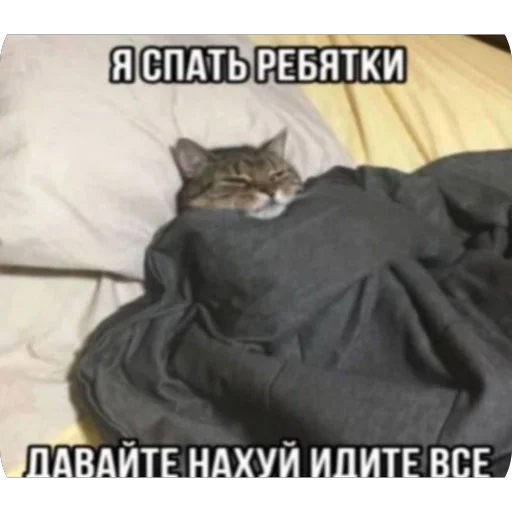 Sticker bulling82 - 1