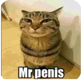 Стикер false - 11