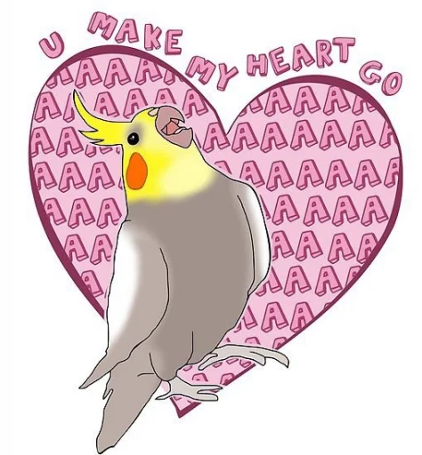 bird drawing clipart