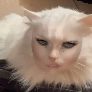 Sticker bunkiir 2 - 1