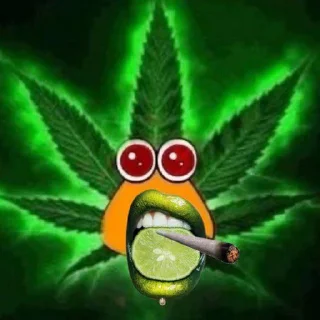 Sticker bunkiir 2 - 9