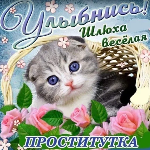 Sticker burgerkillaz - 1