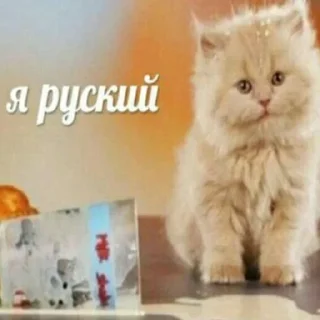 Sticker burger part 2 - 5