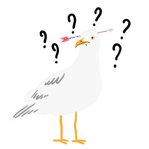 животное чайка чайка