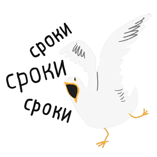 животное клюв птица