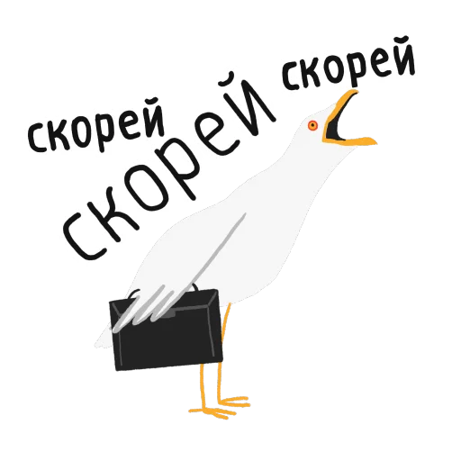 птица животное клюв