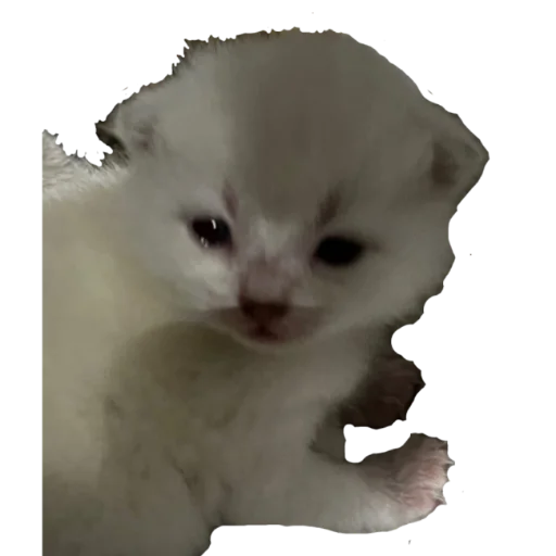 Sticker @kdwfkss - 11