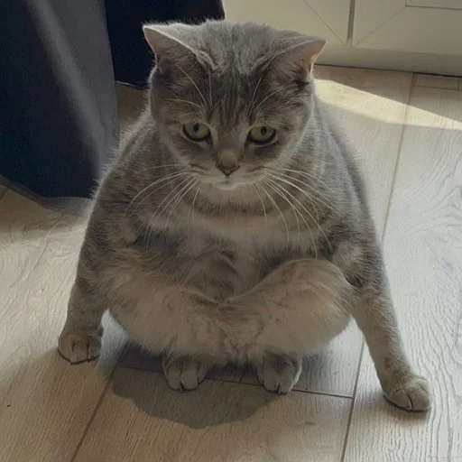 Sticker @kdwfkss - 10