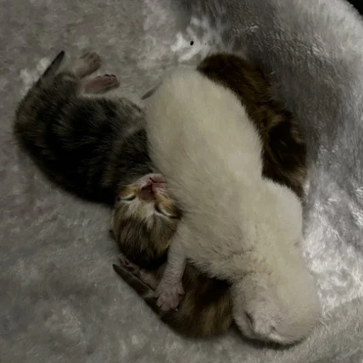 Sticker @kdwfkss - 9