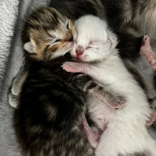 Sticker @kdwfkss - 8