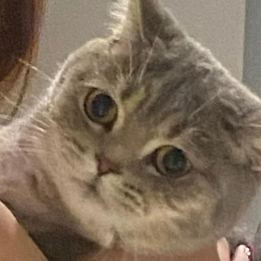 Sticker @kdwfkss - 7