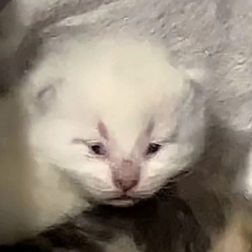 Sticker @kdwfkss - 6