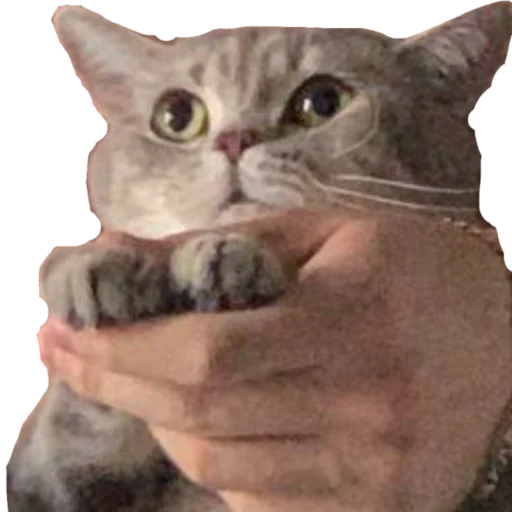 Sticker @kdwfkss - 4