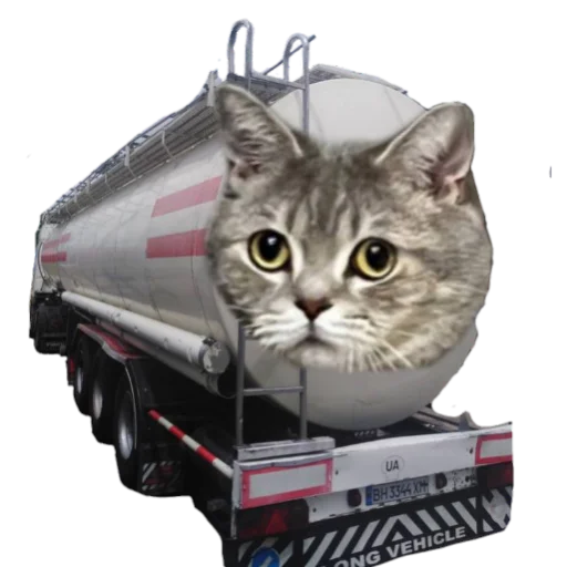 Sticker @kdwfkss - 3