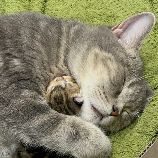 Sticker @kdwfkss - 2