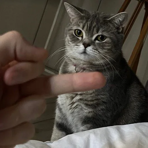 Sticker @kdwfkss - 1