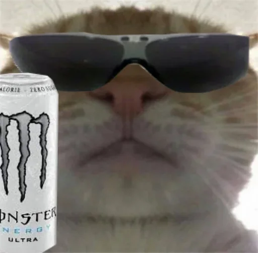 аксессуар кошка безалкогольный напиток