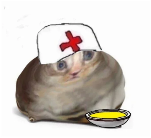 животное собака млекопитающее