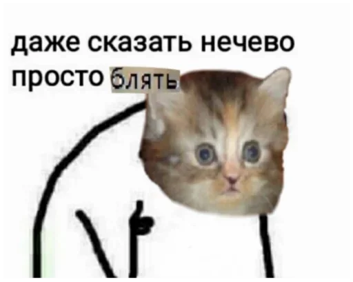 домашняя кошка кошка кошки малого и среднего размера