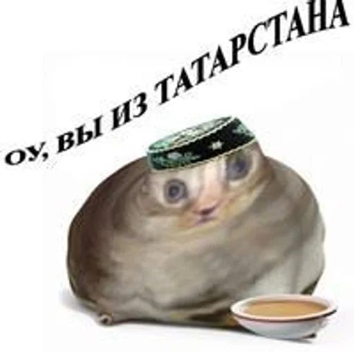 животное млекопитающее СМС