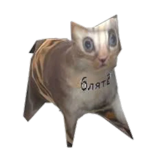 кошка животное