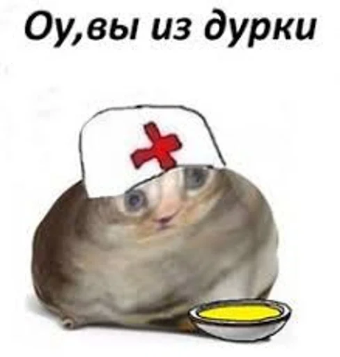 млекопитающее животное собака