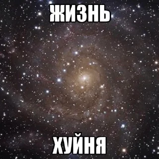 Sticker моняя - 3