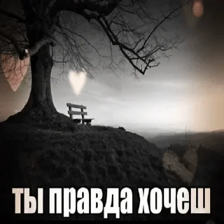 Sticker моняя - 7