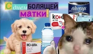 Sticker Больше стикеров 👉🏻 @stickertg4 - 8