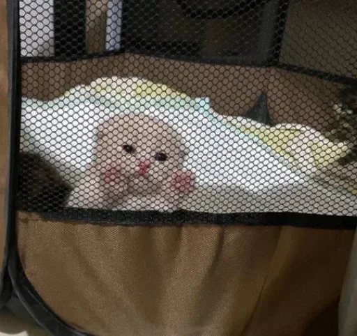 indoor accessory bag