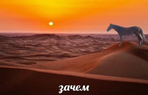 небо на открытом воздухе заход солнца