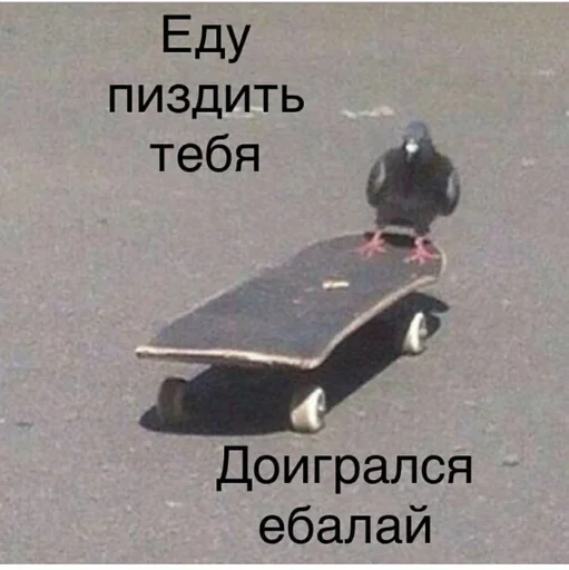 text outdoor skateboarding