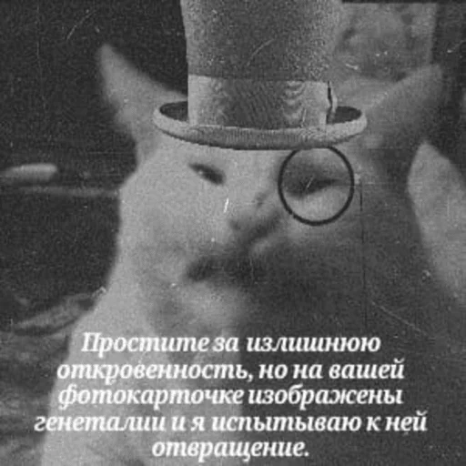 mammal text black and white