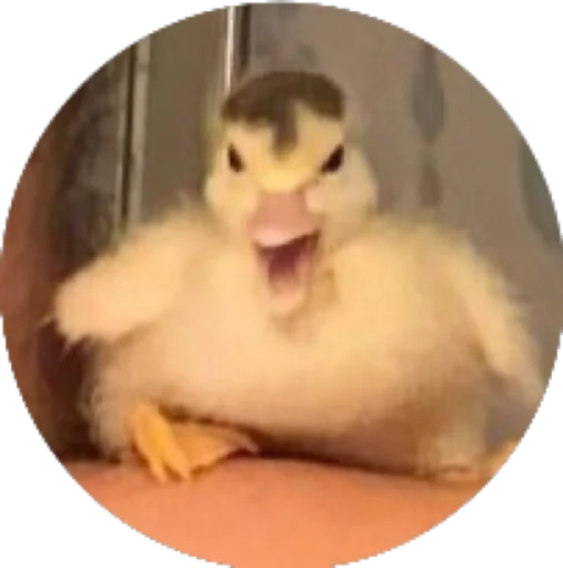 от м - Человек