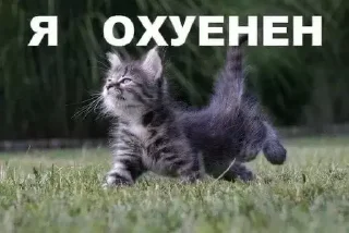 Sticker буебуе - 8