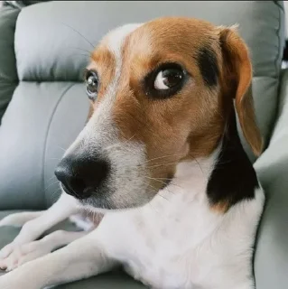 Sticker буебуе - 5