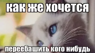 Sticker буебуе - 1