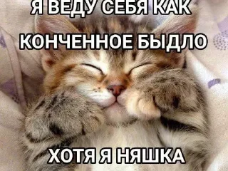 Sticker буебуе - 9