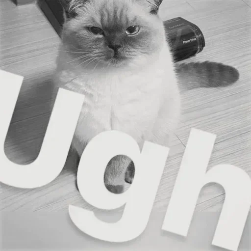 Sticker byebyezzz - 1