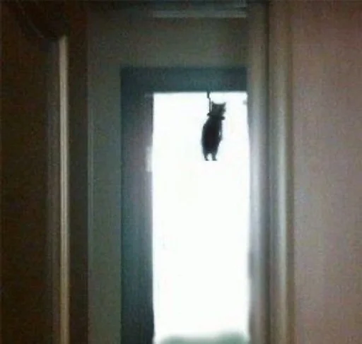 stickers by massettii - 