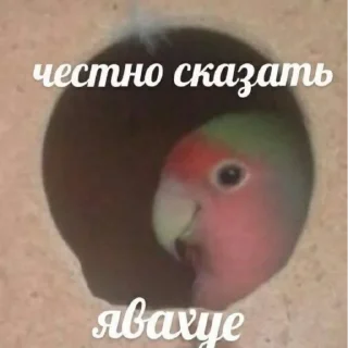 Стикер название придумывать лень - 10