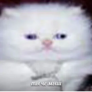 Стикер название придумывать лень - 8