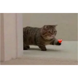 Стикер название придумывать лень - 4