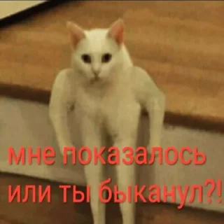 Sticker буйные - 3